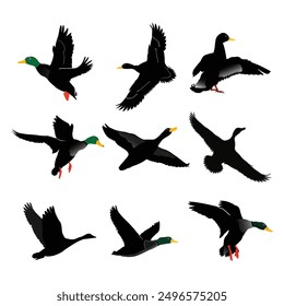 Hand drawing wild animal duck silhouettes design