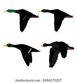 Hand drawing wild animal duck silhouettes design