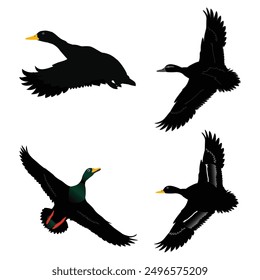 Hand drawing wild animal duck silhouettes design