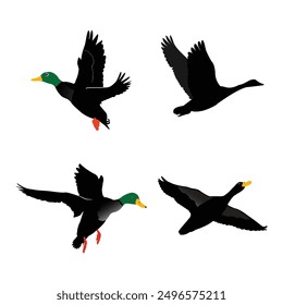 Hand drawing wild animal duck silhouettes design