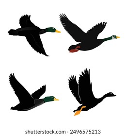 Hand drawing wild animal duck silhouettes design