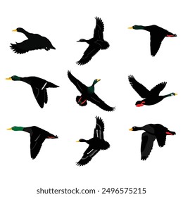 Hand drawing wild animal duck silhouettes design