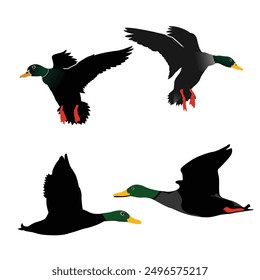 Hand drawing wild animal duck silhouettes design