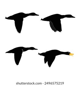 Hand drawing wild animal duck silhouettes design