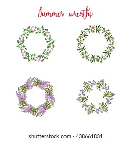 Hand drawing wild herbs summer wreaths - clover and chamomille, valerian, fireweed, trifid bur-marigold