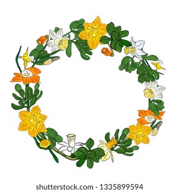 Hand drawing wreath, round frame,border with Delicate spring flower narcissus,daffodil and Crassula, Succulent leaves, branches and flowers.  Elements for greeting, wedding card.Sketch, Linart