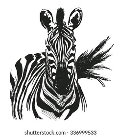hand drawing zebra