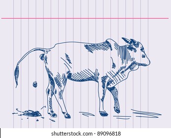 Hand drawing zebu cow in action. Visit my portfolio for big hand drawn collection