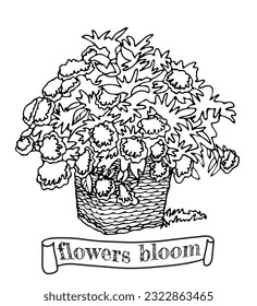 Hand drawing zentangle element. Black and white. Flowers in a basket Vector illustration. The best for your design, textiles, posters, tattoos, corporate identity, coloring boo
