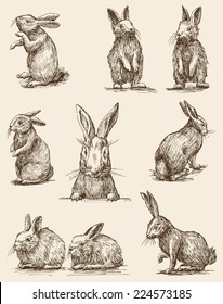 Hand drawings of different cute rabbits, easter bunnies, vector illustration