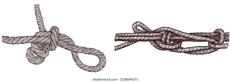 Dibujos a mano de nudos náuticos duraderos de cuerda de aparejo, Ilustración vectorial aislada en blanco
