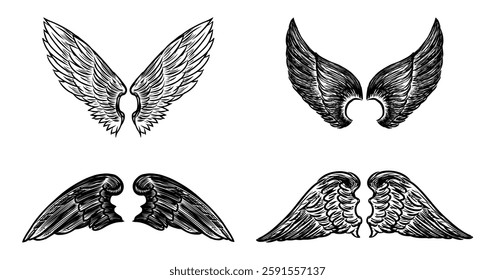 Hand drawings of four pairs different mythological angel wings, vector sketches isolated on white