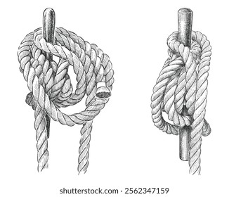 Hand drawings of rigging rope skeins of rigging rope, realistic vector illustration isolated on white