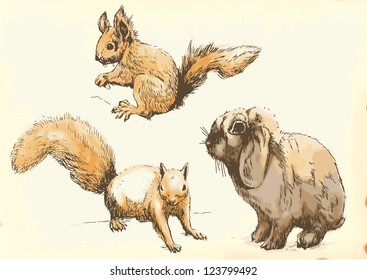 Hand drawings - Squirrels, Rabbit (Leveret) - Vector description: Collection of drawings (each on a separate layer) on vintage paper in yellow color (the paper is separated in the lower layer).