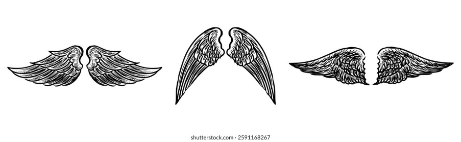 Hand drawings of three pairs various mythological angel wings, vector sketches isolated on white