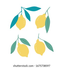 Hand drawl summer set with Lemon. Vector Lemon print for fabric or wallpaper.