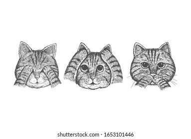 Hand drawn 3 wise cats with hands covering eyes, ears and mouth, Vector