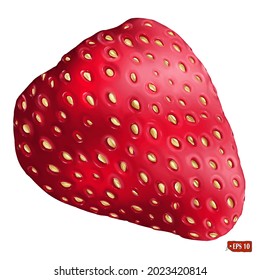 Hand drawn 3d vector illustration of fresh juicy strawberry on white background. Elements for label design, market, menu, restaurant.