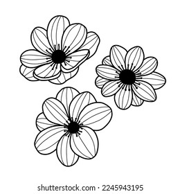 Hand drawn abstract anemones on white background. Sketch of flowers. Outline doodle plants. Black and white vector illustration.