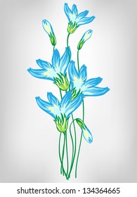 hand drawn abstract blue cornflowers vector