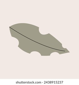Hand drawn abstract bohemian shape
minimal vector element