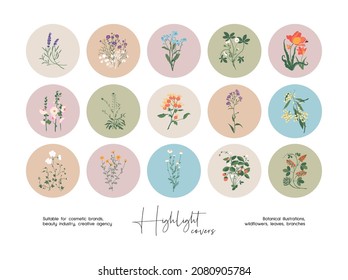 Hand drawn abstract botanical collection for brand identity, social media highlight covers