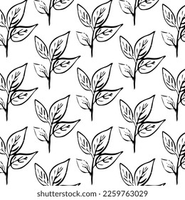 Diseños y formas abstractos dibujados a mano, 
Ornamento monocromo de arte floral. Fondo vectorial de semitono. Patrón transparente blanco y negro.
