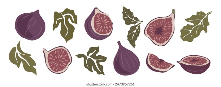 Hand drawn abstract fig fruits set. Collection of whole and cut figs, leaves vector illustrations isolated on transparent background. Fresh juicy fruits hand drawn clip art.