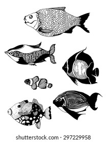 Hand Drawn Abstract Fish Vector Illustration