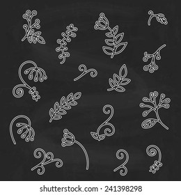 Hand drawn abstract floral elements on chalkboard  background