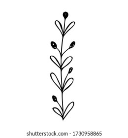 Hand drawn abstract floral sprig silhouette. Black and white outline vector illustration. Decorative branches. Spring and summer leaf icon. Doodle style.