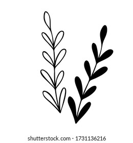 Hand drawn abstract floral sprig silhouette. Black and white outline vector illustration. Decorative branches. Spring and summer leaf icon. Doodle style.