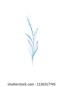 Hand Drawn Abstract Floral Vector Illustration. White Background. Blue Design. Decorative Grass Graphic. Twig Delicate Sketch.