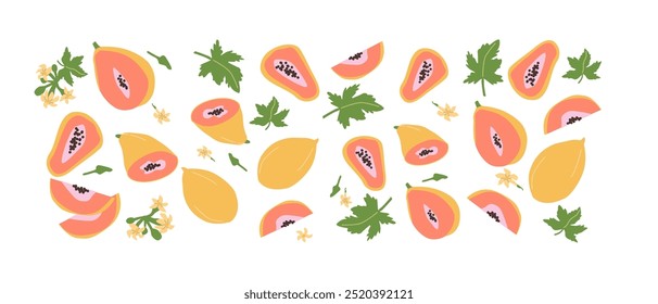 Conjunto de plantas de papaya de frutas abstractas dibujadas a mano. Fruta entera, rebanadas, trozos y hojas, flores. Se puede utilizar para carteles, etiquetas, patrones.