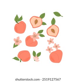Hand drawn abstract fruit peach plant set. Whole fruit, slices, pieces and leaves, flowers. Can used for posters, labels, patterns.