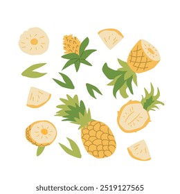 Handgezeichnete abstrakte Frucht Ananas Pflanzenset. Ganze Früchte, Scheiben, Stücke und Blätter, Blumen. Kann für Poster, Etiketten, Muster verwendet werden.