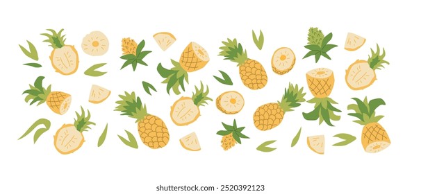 Conjunto de planta de piña de fruta abstracta dibujada a mano. Fruta entera, rebanadas, trozos y hojas, flores. Se puede utilizar para carteles, etiquetas, patrones.