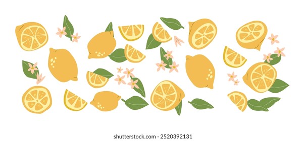 Hand drawn abstract fruit plant set. Whole fruit, slices, pieces and leaves, flowers. Can used for posters, labels, patterns.