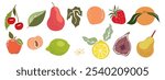 Hand drawn abstract fruits set. Collection of apple, lemon, pear, fig, lime, orange, apricot, strawberry, cherry, peach vector illustrations isolated on white background. Fresh juicy fruits