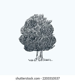 Árbol abstracto de plantas imaginarias dibujado a mano