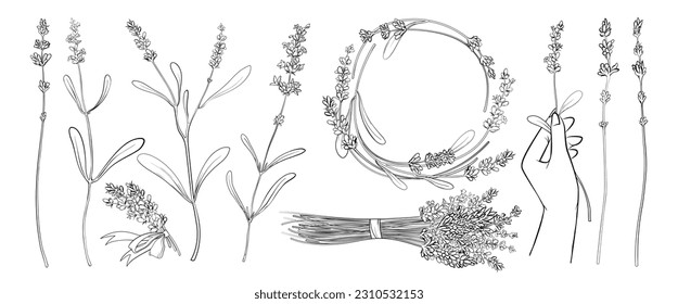 Hand drawn abstract lavendar plants with flowers and leaves, round border frame decoration for wedding invitation, greeting card. Lavender wreath simple thin line sketches set vector illustration