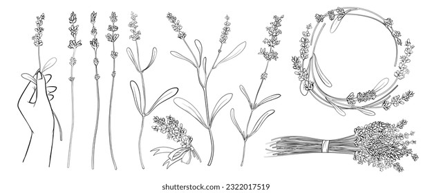Plantas lavendares abstractas dibujadas a mano con flores y hojas, decoración de marco de borde redondo para invitación de boda, tarjeta de saludo