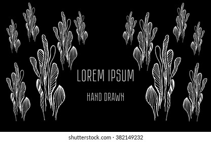 Hand drawn abstract leaves. Design vector element with text place for invitations and cards. Pattern can be used for wallpaper, pattern fills, web page background and surface textures. Boho style.