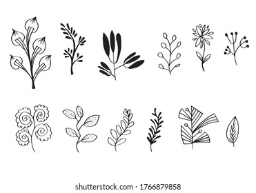 Hand drawn abstract leaves isolated on white background for concept design. 