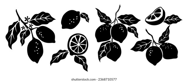 Siluetas abstractas de limoneros dibujadas a mano. Colección de limones enteros y cortados, ramas, flores y hojas ilustraciones de contorno negro vectorial aisladas en fondo blanco. 