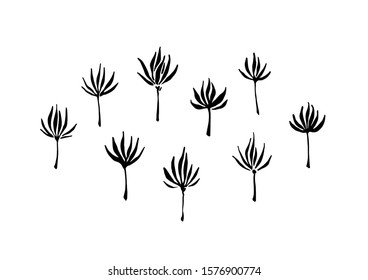 Hand drawn abstract modern flowers collection painted by ink. Grunge style brush painting vector silhouettes. Black isolated imprint on white background.