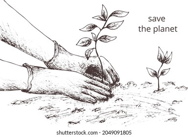 Hand drawn abstract outline 
vector sketch  Vintage silhouette person's hands in gardening gloves  tree  Seedling  Planting plants  landscaping  gardening 
Save the planet  Transparent background