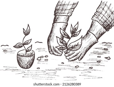 Hand drawn abstract outline vector sketch. Vintage silhouette person's hands in gardening gloves. Tree. Seedling. Planting plants, landscaping, gardening. Save the planet. Transparent background