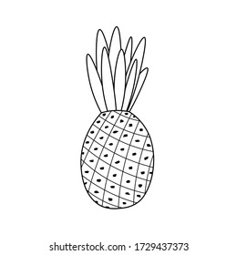 Hand drawn abstract pineapple. Black and white outline floral vector illustration. Decorative fruit . Tropical summer icon. Doodle style. Food concept. 