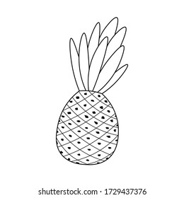 Piña abstracta dibujada a mano. Ilustración vectorial floral de contorno blanco y negro. Frutas decorativas. Icono de verano tropical. Estilo Doodle. El concepto de comida. 